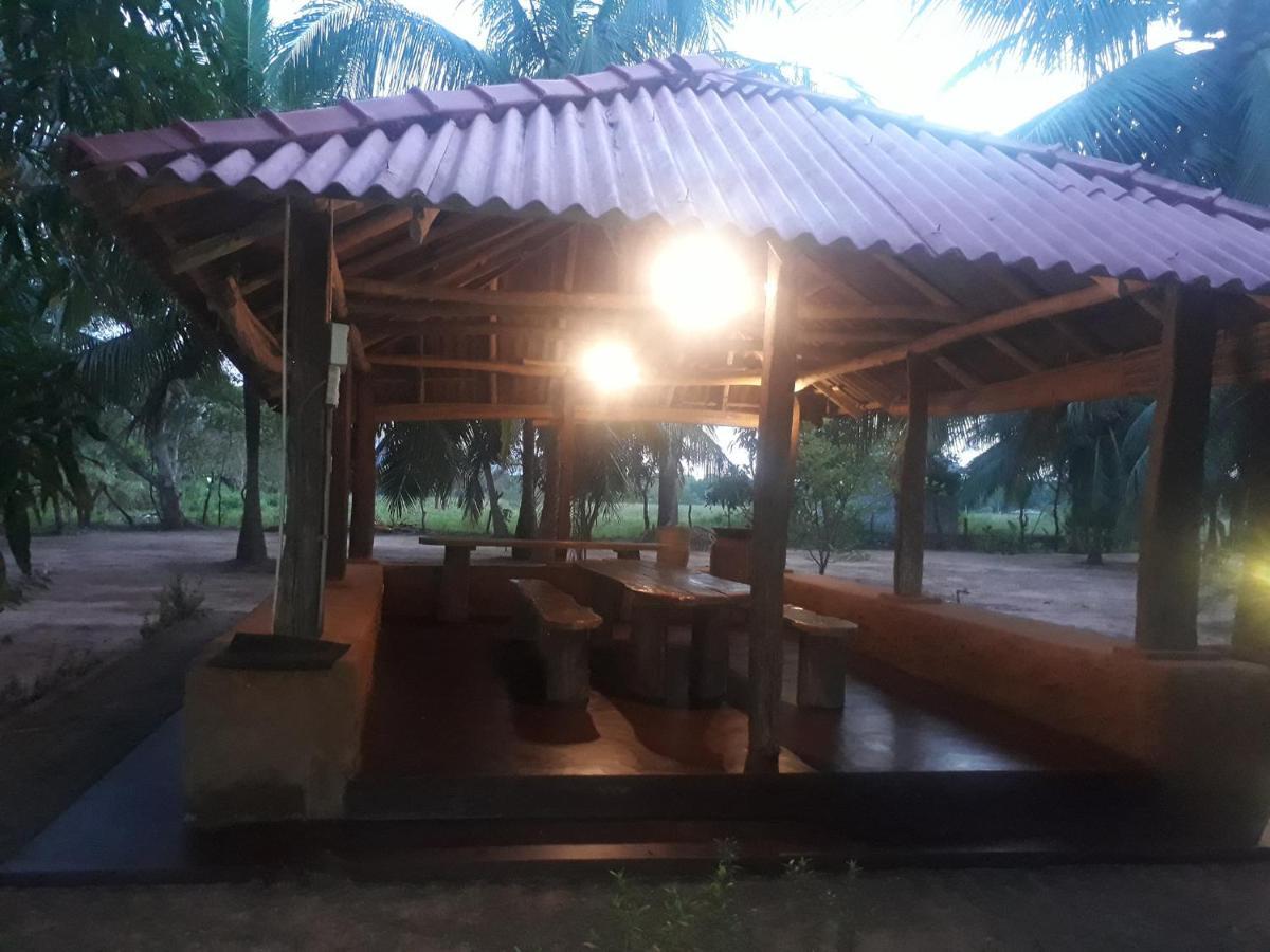 Heina Nature Resort - Eco Home And Yala Safari Kataragama Exteriör bild