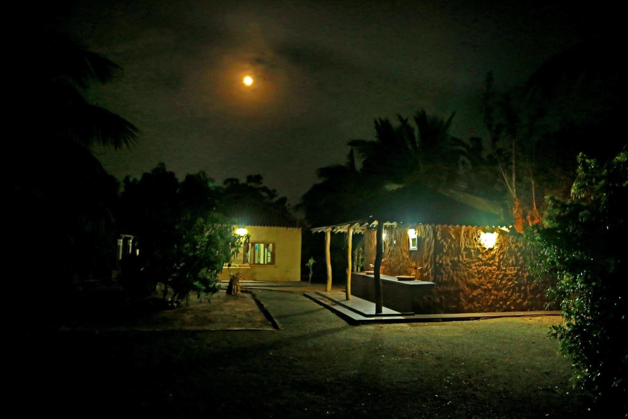 Heina Nature Resort - Eco Home And Yala Safari Kataragama Exteriör bild
